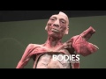 Bodies...The Exhibition