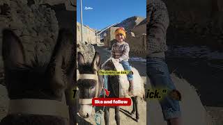 Can you ride a donkey?" 🐴 #simplelife #funny