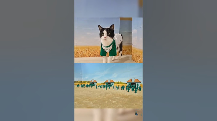 Kucing main Squid Game (cat squid game) #shorts #kucing #squidgame