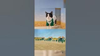 Kucing main Squid Game (cat squid game) #shorts #kucing #squidgame