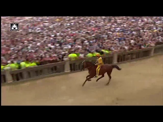 Prima prova - Palio 16 agosto 2019