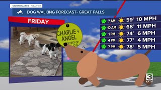 Dog-walking forecast (May 30, 2025)