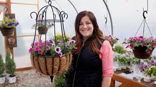 Hanging Baskets Part 3How To Keep Them Beautiful All Summer Long