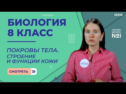 Покровы тела. Строение и функции кожи. Видеоурок 26. Часть 1. Биология 8 класс