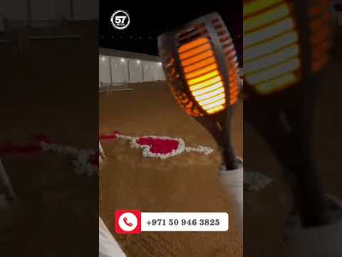 Valentine's Day Dinner with 57 Safari