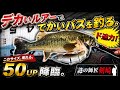 デカいルアーにデカいのが群がってくる