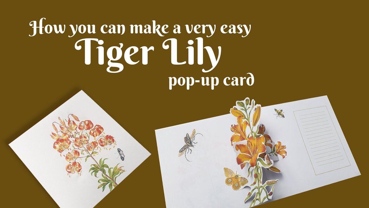 Lily Pop-up card - very easy mechanism