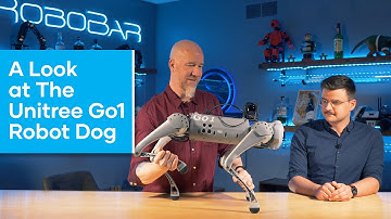 A Look at the Unitree Go1 Robot Dog (Quadruped)