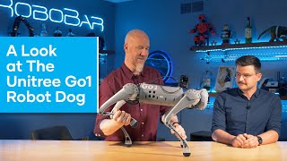 A Look at the Unitree Go1 Robot Dog (Quadruped)