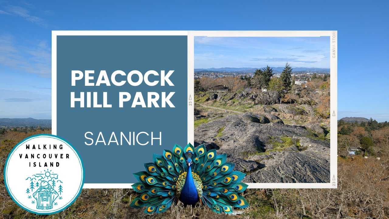 This Tiny Hilltop Park Has the Best Views in Saanich