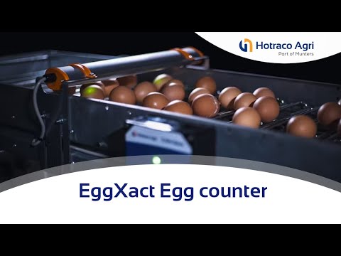 Hotraco presents new egg counter: EggXact - You can count on us!