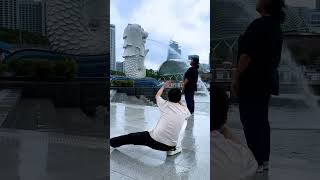 How to snap the perfect Merlion shot