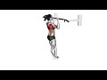 Band Assisted Pull-Up – Build Pull-Up Strength & Upper Body Power