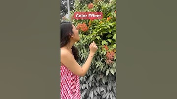 Wanna go from black & white to full bloom in seconds? 🌸Here’s how it