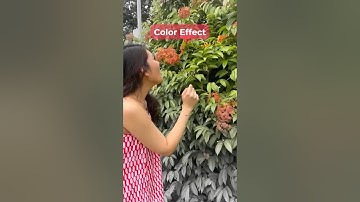 Wanna go from black & white to full bloom in seconds? 🌸Here’s how it