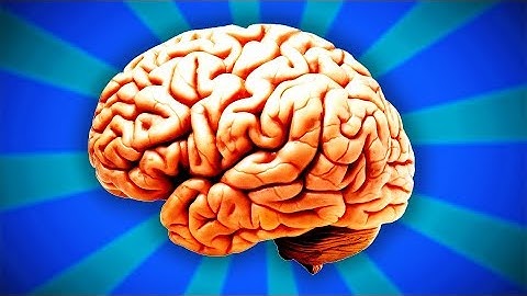 The Final, Absolute Truth About Race & IQ