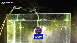 Neoglow Luna 200W High-Power Three-Color Led Car Lights