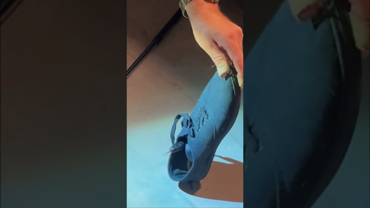 Snake Catcher Finds Venomous Snake Hiding in Shoe