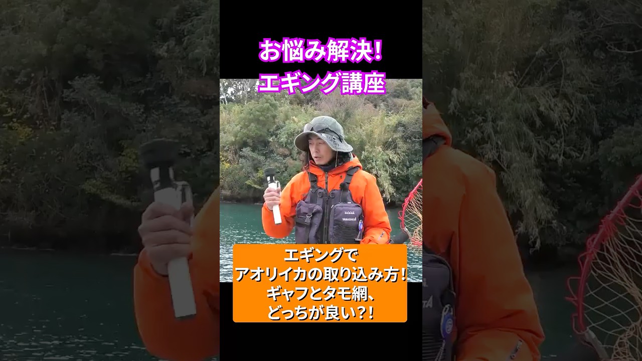 How to catch bigfin reef squid with egging! Which is better, gaff 