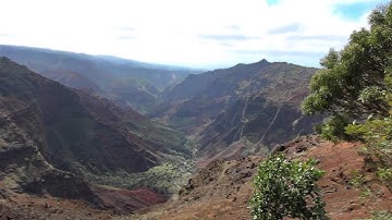 Adobe Premiere Elements 15 - Haze Remover - Cherri International