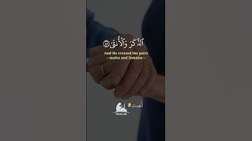 صوت عذب اسمع وأرح قلبك🎧❤ سورة النجم القارئ شريف مصطفى
