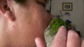 Angels Raspberry Kisses