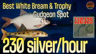 🎣 RF4 2026: 230 Silver/Hour! White Bream & Trophy Gudgeon Money Spot 💰 Best Tele Float Guide