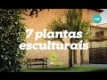 7 plantas esculturais para seu jardim