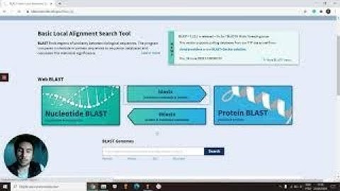 ORF annotation with Geneious