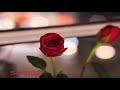قرشي الحجير للاشواق جناح 
