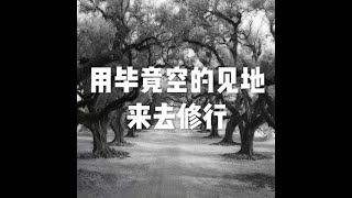 201702 用毕竟空的见地来去修行22991