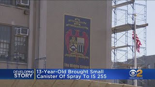 Brooklyn Students Pepper Sprayed By Teen