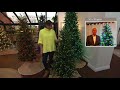 Santa's Best Alberta Spruce Starry Light WRGB Christmas Tree on QVC