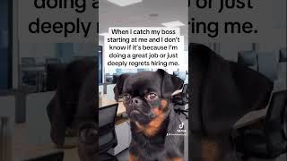 When I catch my boss looking at me💀#fyp #trending #boss #funnny #foryou #humor #funny #shorts #lol