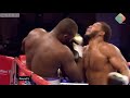 Michael Hunter VS Martin Bakole Highlights