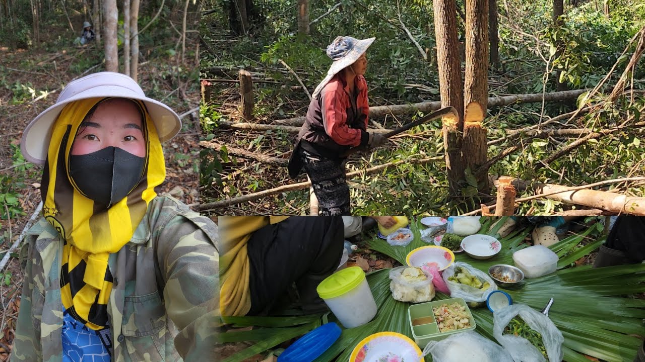 Mu luaj teb ntov ntoo nkau nkau xwb ma sab tiag li 