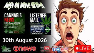 Hemp Ban, Cannabis at the US Open, NHS Inquiry & Is Growing Too Complicated? | Cannabis News #225