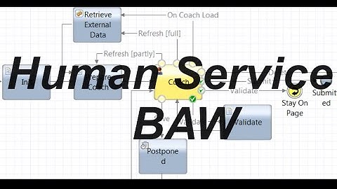 Wat is Human Service in IBM BAW | Erfgoed | Client Side Human Service | IBM BPM | IBM BAW