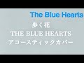 歩く花 / THE BLUE HEARTS【1995年 ラストアルバム『PAN』収録】