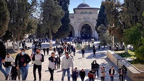 آواخر سورة الزخرف والعلق للشيخ منير عطيه راشد 🍂🧡