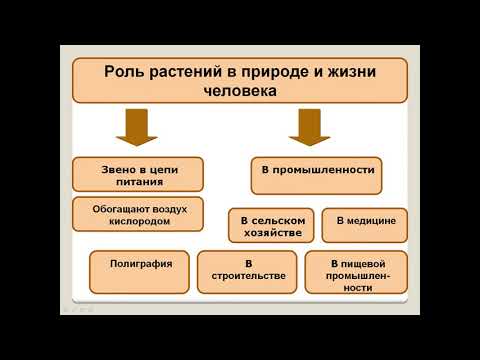 Разнообразие, распространение, значение растений   5 класс