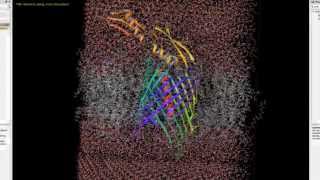 Desmond - Preparing a Membrane Protein for MD Simulations