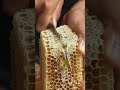 #ASMR Honey, #Oddly Satisfying, Honey Cutting, #Pure Honey, #ASMR Food, #Satisfying, #viral #asmr