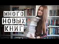 Последние покупки осени || Несбё, нон-фикшн про ад и психические расстройства и многое другое