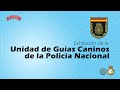 37  Exp. Internaciona de Otoño de Madrid (Exh. Policía Nacional)