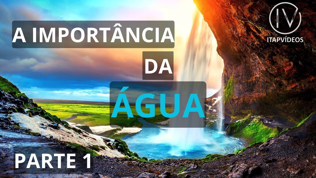 A importância da água para o meio ambiente, biodiversidade e o clima ...