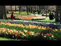 Keukenhof 2021 - Spring has come - 4K