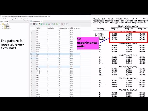 #4 Split Plot RCBD using STAR (Two-Factorial)