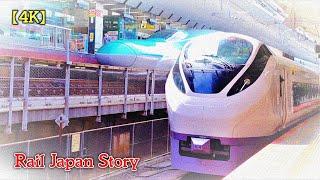 E657 Series HITACHI Limited Express coming across E5 Series Shinkansen, Tokyo Station | Train Japan