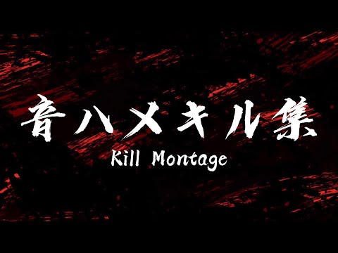 【CopNRobber】音ハメキル集／Sniper Kill Montage【ピクセルシューティング】【おんしーばらびだ】